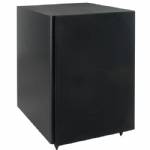 Allison AL10 10" 125W Subwoofer