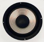 Audio Select 8'' Aluminum Cone Musical Instrument Speaker